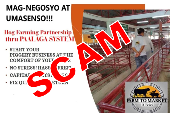 Farm 2 Market 'paalaga' system scam