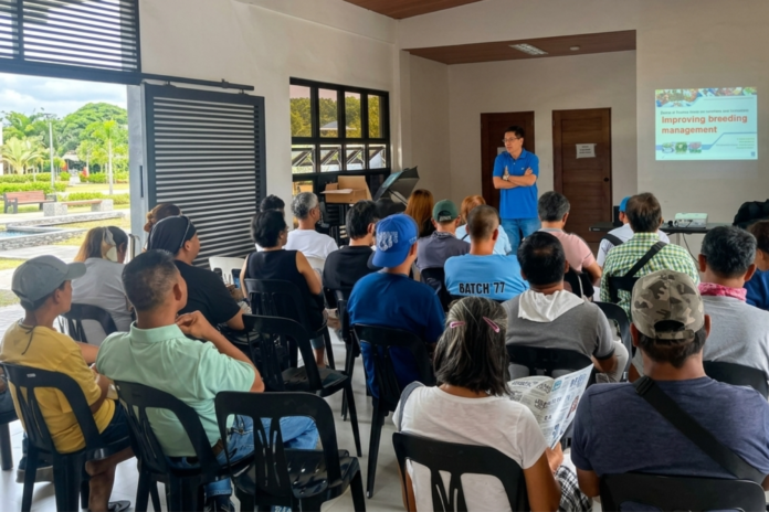 70 farmers trained in breeding management for higher income and sustainable enterprise (Photo: Tarlac City Government)